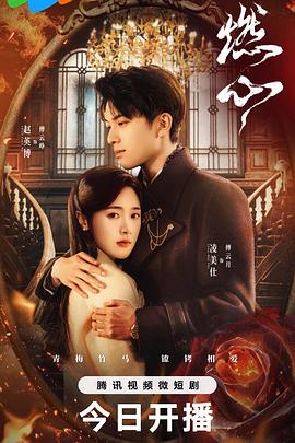 毒舌律师